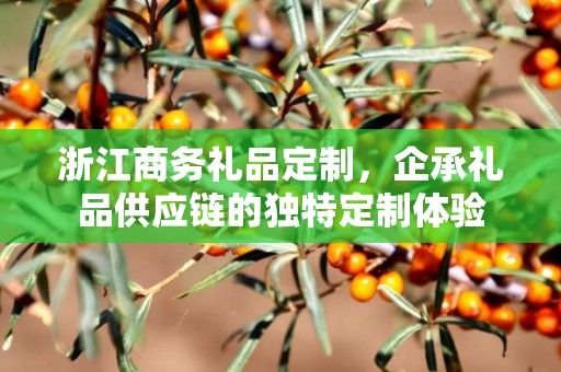 浙江商务礼品定制，企承礼品供应链的独特定制体验